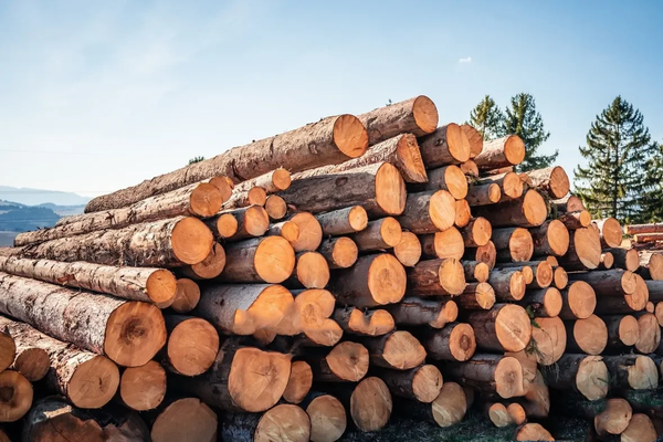 Round timber oak – Lorry load flexible (20 RM or 40 RM)